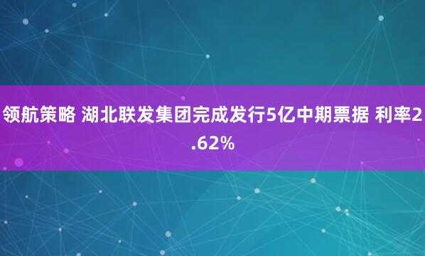 领航策略 湖北联发集团完成发行5亿中期票据 利率2.62%