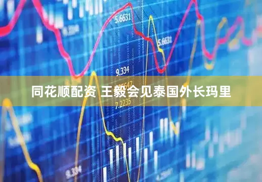 同花顺配资 王毅会见泰国外长玛里