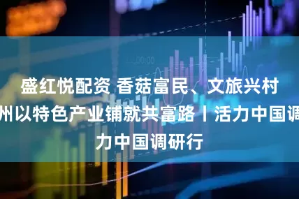 盛红悦配资 香菇富民、文旅兴村，随州以特色产业铺就共富路丨活力中国调研行