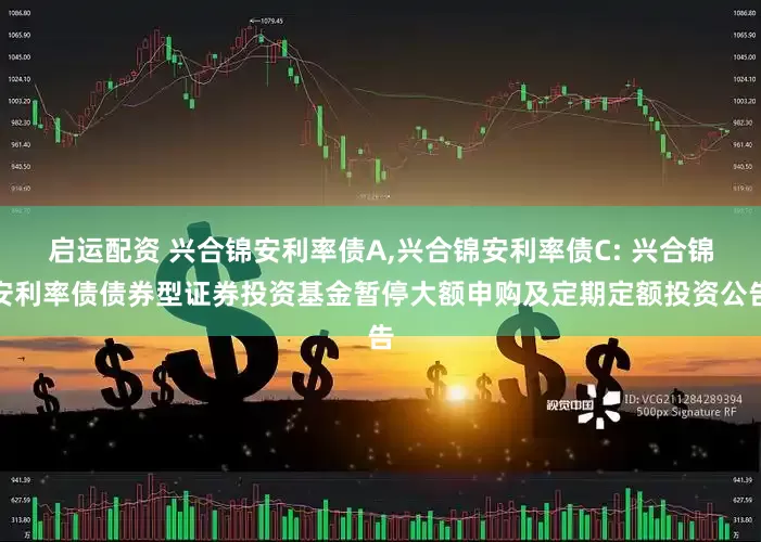 启运配资 兴合锦安利率债A,兴合锦安利率债C: 兴合锦安利率债债券型证券投资基金暂停大额申购及定期定额投资公告