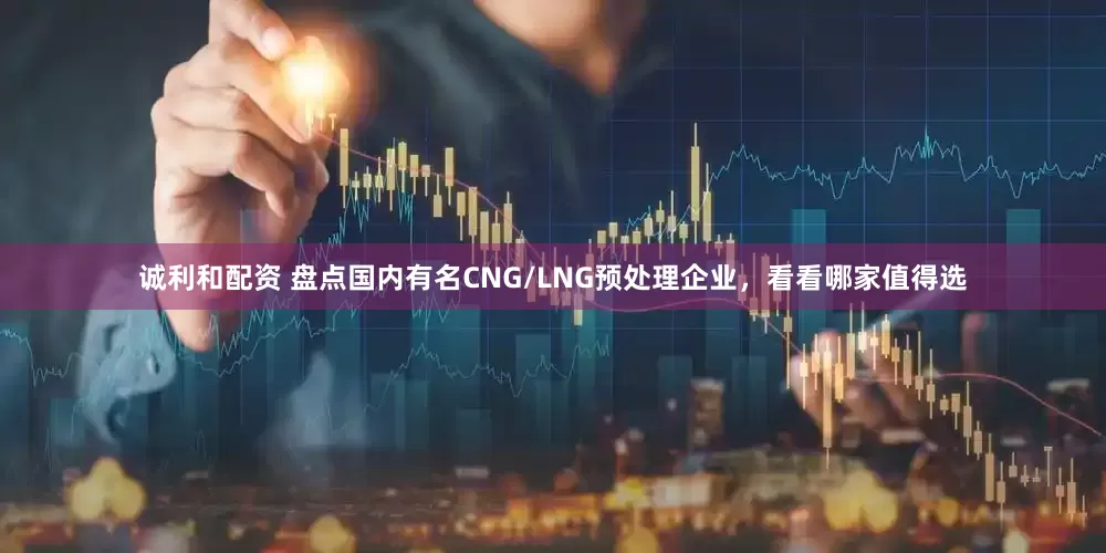 诚利和配资 盘点国内有名CNG/LNG预处理企业，看看哪家值得选