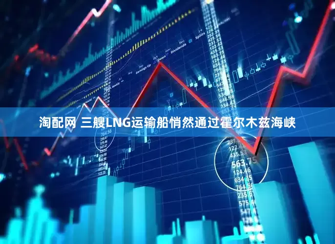淘配网 三艘LNG运输船悄然通过霍尔木兹海峡